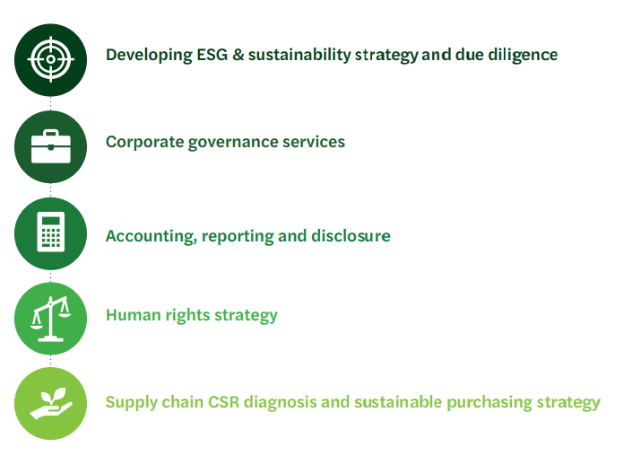 Sustainability: Strategy, compliance & due diligence (Infograph)